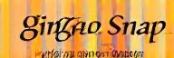 Ginger Snap Candies Logo